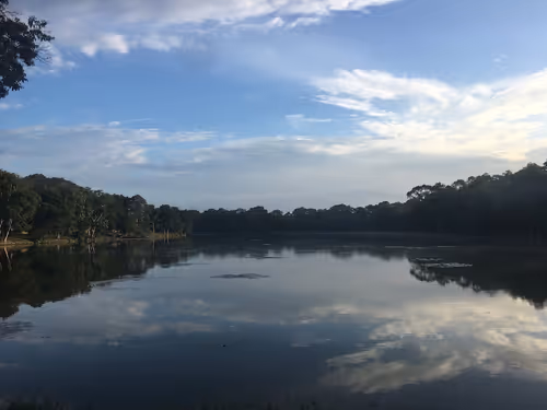 Item #40129036347338487732493830186327944618305484146391989675731997361127150321864 Media