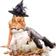 96632138297624906610402154844339416600962008766400078316943621641946575929345