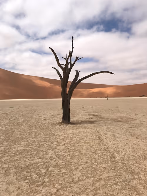 Item #28983806154019988982234389122970285076439486341566149619179108659811120578561 Media