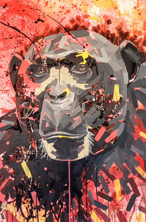 Item #50817705135989241687002875293874285283269328685176696233465355685117554589697 Media