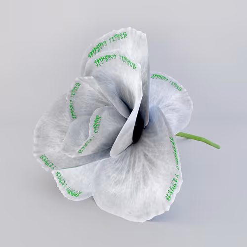 Item #26638579104251787935456421339691708907592115423334192605162100794377371648010 Media