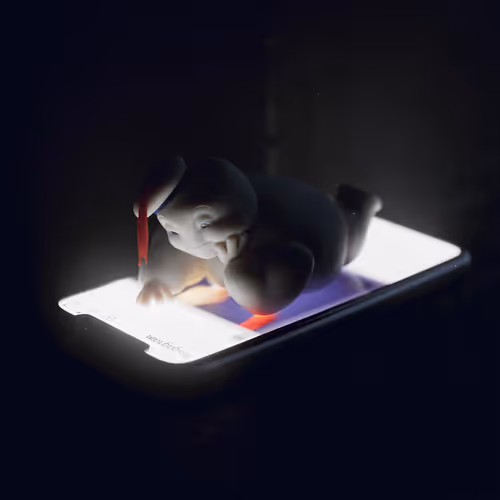 Item #93508830796702296191124210130245147793046081257354826576940136344363521277953 Media