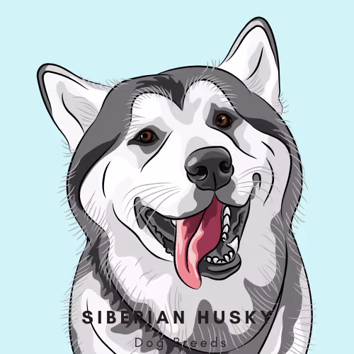 Item #102435799496306094734793923269386745647945406749022464082574321270788051697665 Media