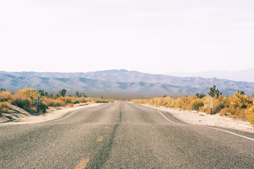 Item #1477567608042929161133967300904577015789959353209458872969039461306486226945 Media