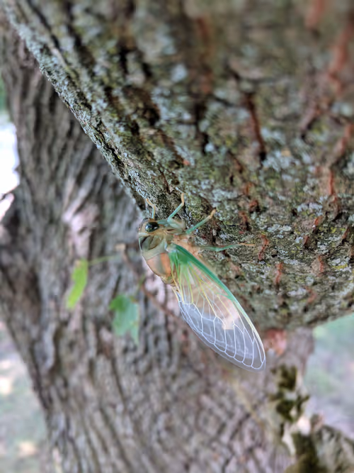 Item #91070771402693932000601226030107355921495201720799399704297419995688797732865 Media