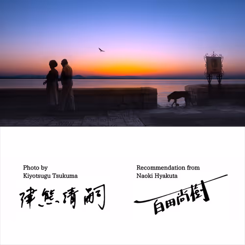 Item #50363599063163147153613145821536573388188757472313701897706766257185873723393 Media