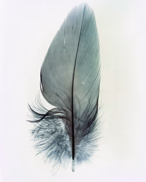 Item #15950502774274559587709957543874871977543956853015568947902385675606094249985 Media