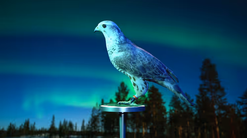 Item #5362693153686757663037229957776630052012240176014263673100968347601177935873 Media