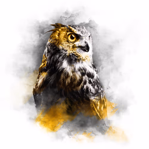 The Animal Kingdom Collection