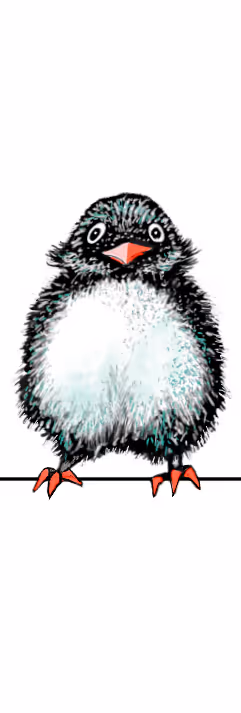 Item #72695523464753550601147126795501667149014001806411121621206157103071240388609 Media