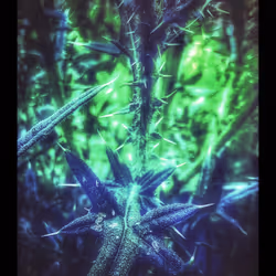 3787080761074609709675817509753112159059746763483256848434353590781756833797