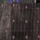 40206737070068691469795964067745414193244727195216583219720318555257370050561
