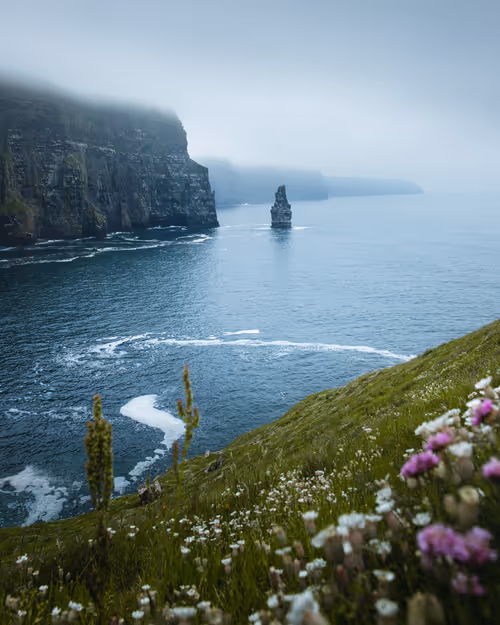 Item #59404681870809906448390957325299961742928436828892721220786848694552498274305 Media