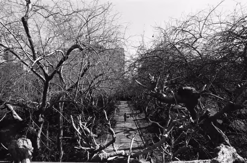 Item #109035602226808003781190119812646007383870584685532442463381147015059309854721 Media