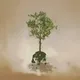 42004477167610589865656648838926671614318867021166160325623853803350700064769