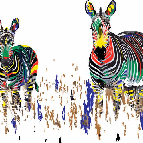 Rainbow Nation - African Zebra