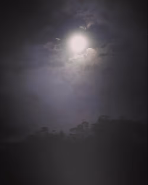 Item #113019650372937085562714205815684762417751518732997168975747479908837299847169 Media