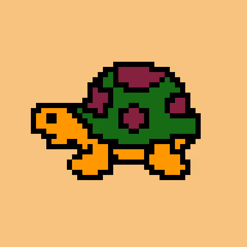 Polygon Turtles