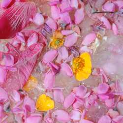 80829721372825377784010953381890255518558028243098186913878117649798850936833