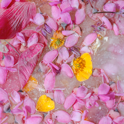 Item #80829721372825377784010953381890255518558028243098186913878117649798850936833 Media