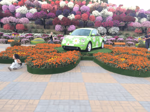 Item #13968726059347532090623550307795009463851395019365410599953870999364126738080 Media