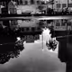 SP-ConcreteJungle