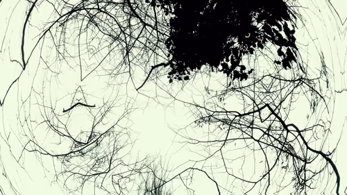 Item #24967146477419090921560663038626653354572651960968859782515528562597240504321 Media