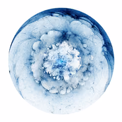 #343 Inverted