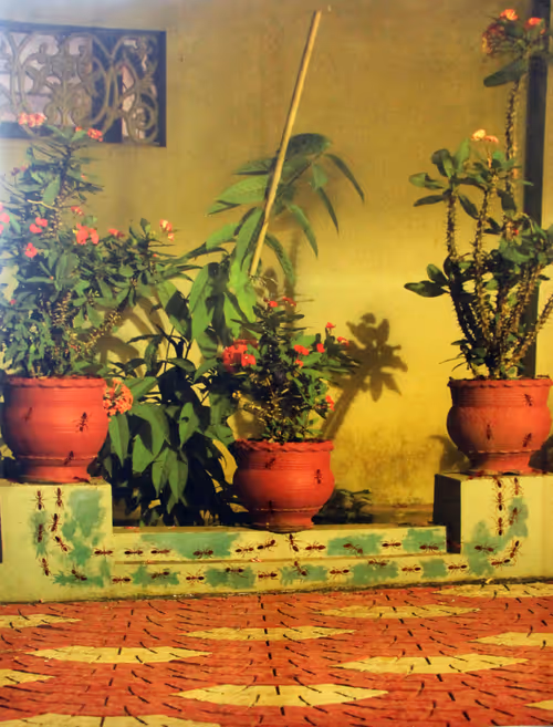 Item #91148977893993609875712018447068443419766610272815647092173437071176635514881 Media