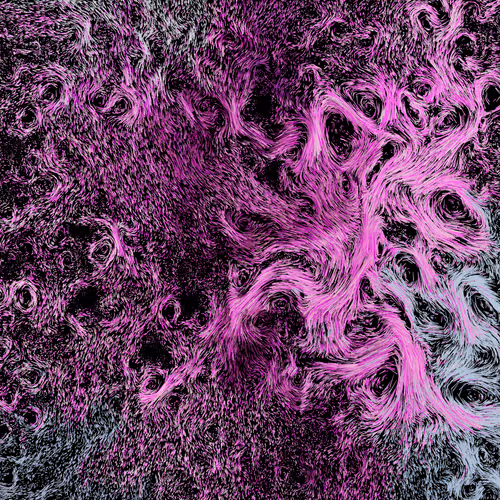 Item #29041098010468481439721650758644029857682680130225095542718541832561430102017 Media