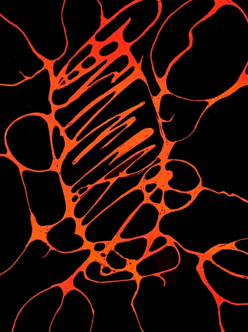 Item #60447415217477959408772772467770452871177809879771206339827648276979582500865 Media