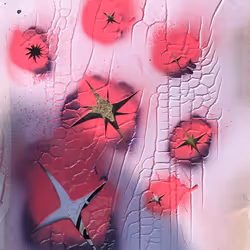 46958899024090373232398737463413705293185688555081041498722300380296991735809