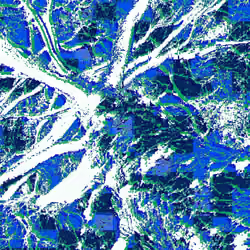 Trippy tree #2