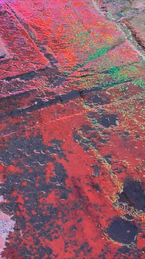 Item #62402000334580523921237358418718502457721815832787791947048085166153736912897 Media