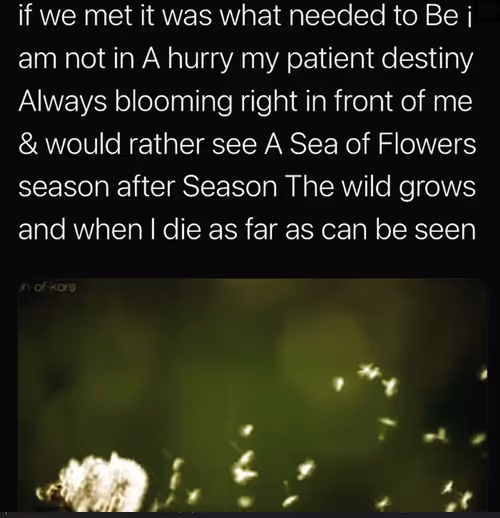 Item #67457553150443021914092587022250176347061355639032054621716075469284468326401 Media