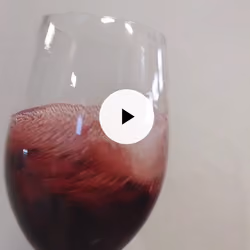 Cabernet franc 