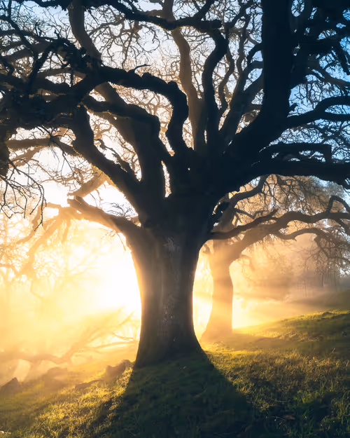 Item #99379921276153973634104125152908526548510783699959858376338453565608499871745 Media