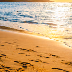Sun and Sea #8