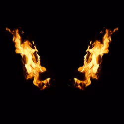 Phoenix #017