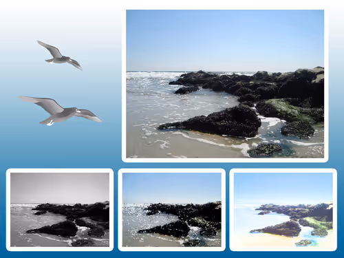 Item #74897159549861964643456459151095158543386453038678965139265938675556551753729 Media