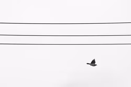 Item #99400781965356512017586416737333400682659956935423818943458207252100373544961 Media