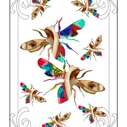 113730862565168297549432933998493185903403964444544322988836227949349067292673