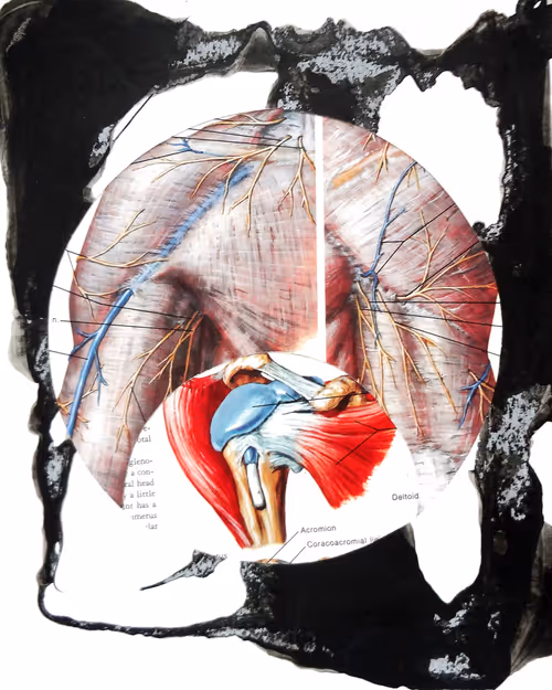 Item #35041902778173331559680500540735012093335203387204658820110218342339889332225 Media