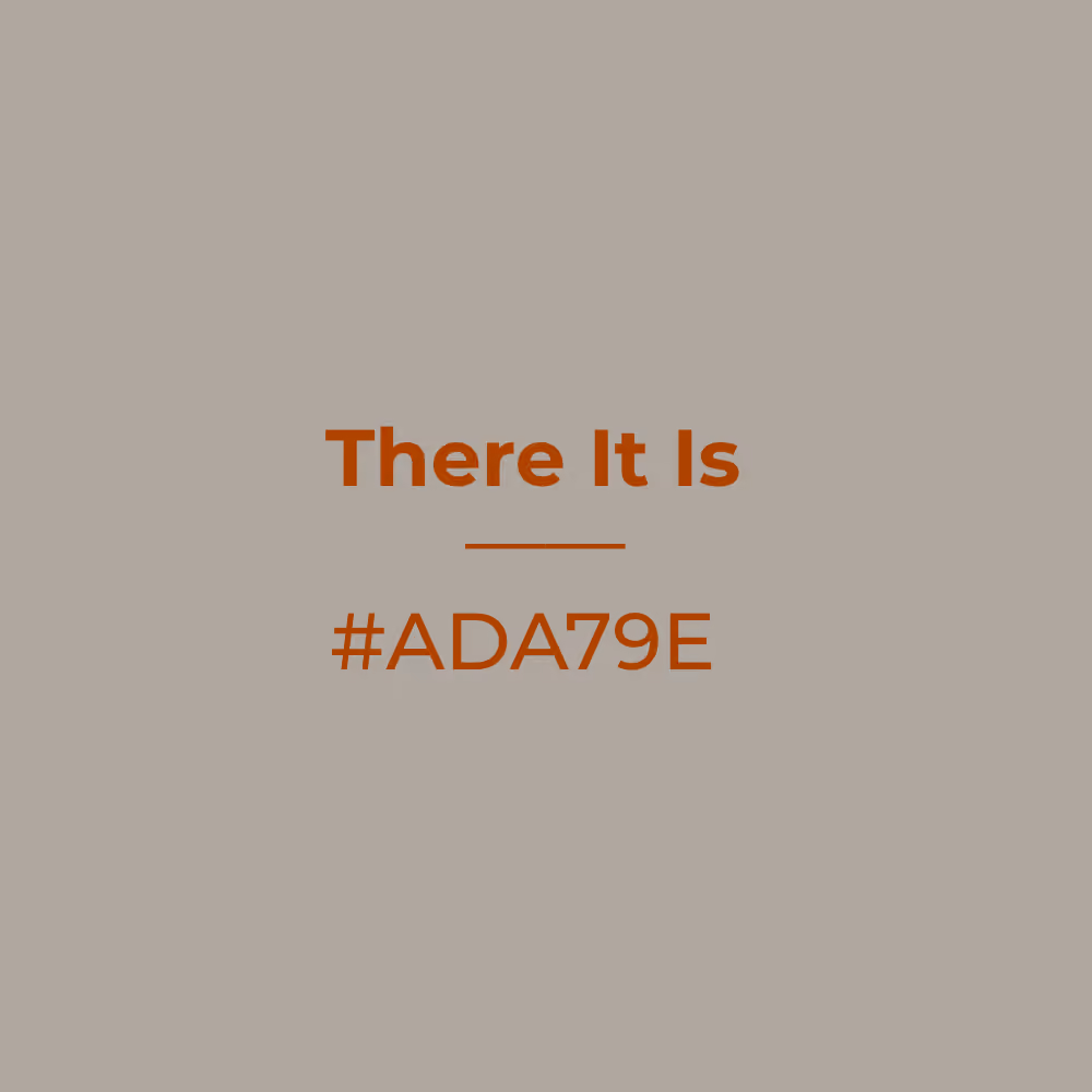 There It Is #ada79e