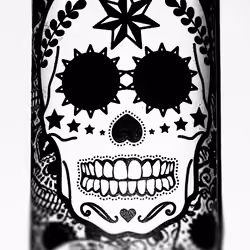 #The Skulls #1