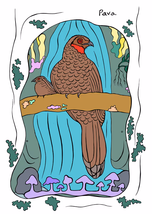 Item #58660196957666730684066954603078342667003526279346528164413612549416689860609 Media