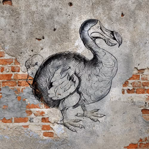 Item #17635803375648012338610213380030160191715370757553255260744606423902903599105 Media