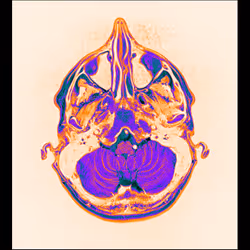 64162533542198579898252916190583583845604629893829087458582975780976878157825