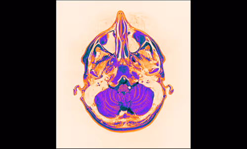 Item #64162533542198579898252916190583583845604629893829087458582975780976878157825 Media