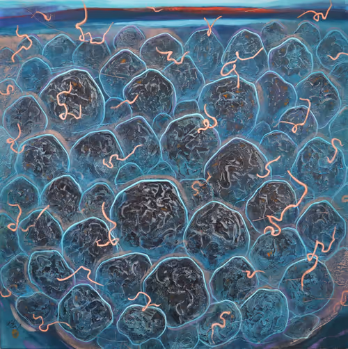 Item #85287633778568224854249724770997392266845098345306706215284281606972911910913 Media